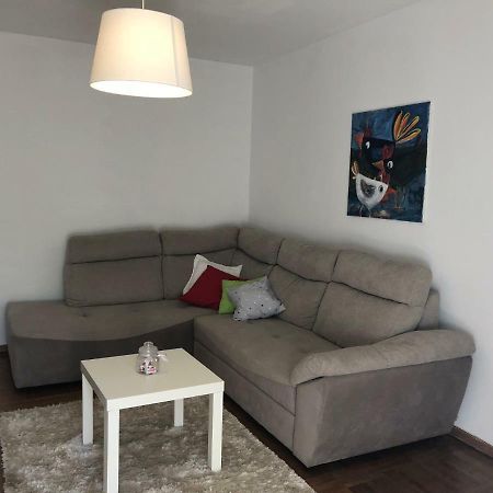 Apartment Safran Novigrad  Luaran gambar
