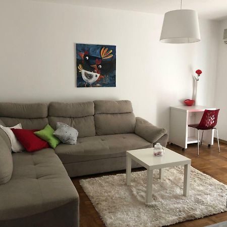 Apartment Safran Novigrad  Luaran gambar