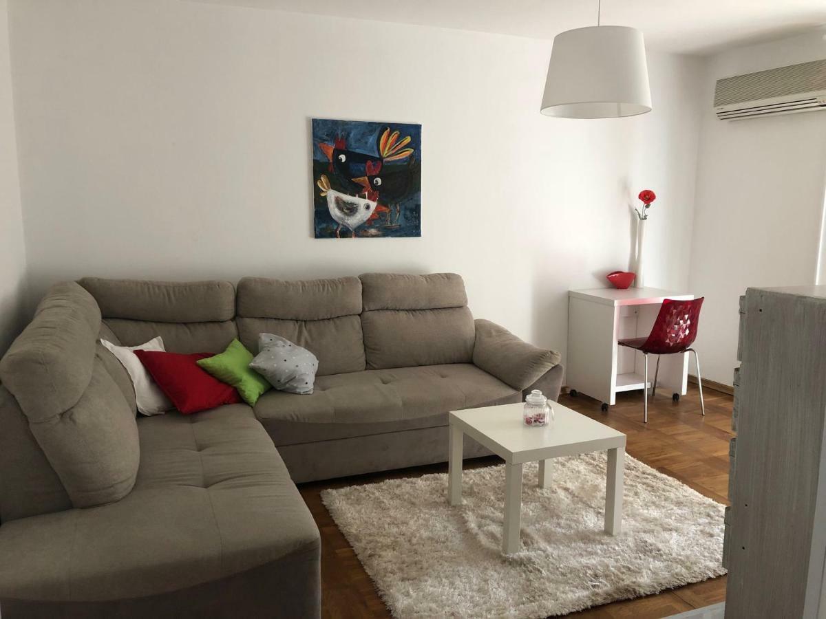 Apartment Safran Novigrad  Luaran gambar